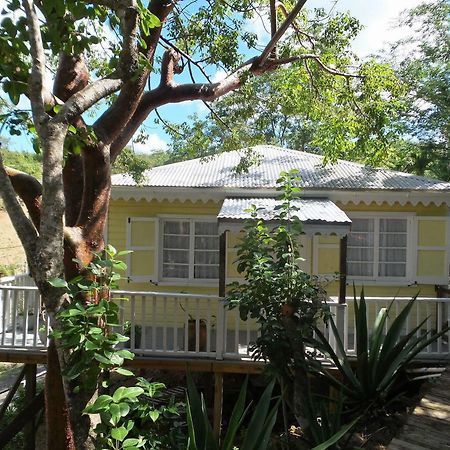 Galley Bay Cottages Five Islands Village Luaran gambar