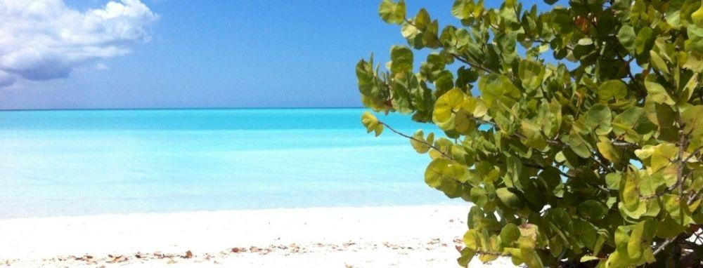 Galley Bay Cottages Five Islands Village Luaran gambar