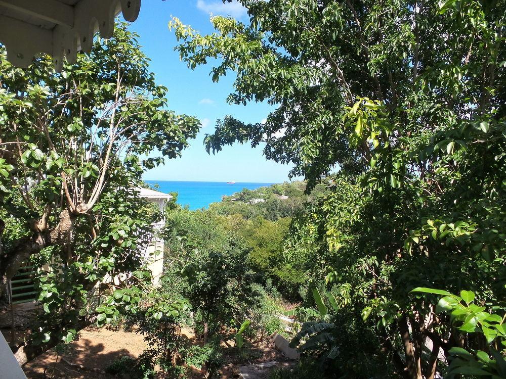 Galley Bay Cottages Five Islands Village Luaran gambar
